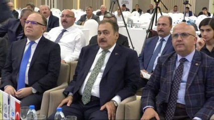 Bakan Eroğlu, "Ttk ve Tdk'nın Kasası Dolu. Onlar En Azından Türkiye'deki İlk 100 Kişiye Burs...