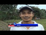 Warga Baros Serang Ngabuburit sambil main layangan adu - NET24