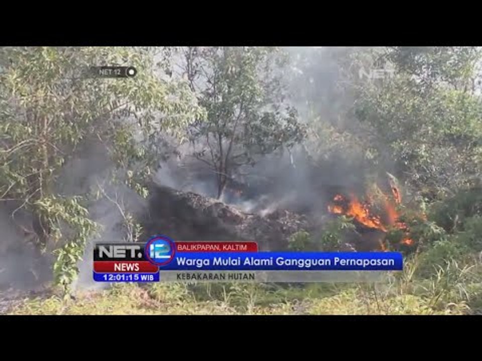 Kebakaran hutan melanda perumahan Puri Alamanda Mentari Balikpapan - NET12