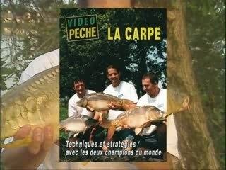 La carpe - Techniques et stratégies