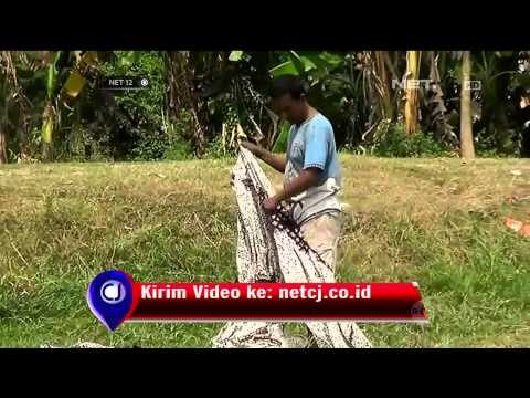Berkah Kemarau Bagi Pengusaha Batik di Pekalongan -NET12