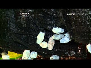 You Have To Know Mutiara - NET24