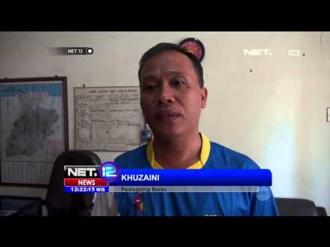 Puluhan Hektar Sawah di Lamongan Alami Gagal Panen -NET12