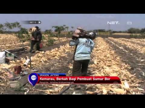 Berkah Kemarau Bagi Pembuat Sumur Bor -NET12