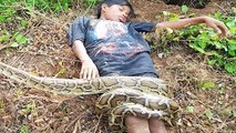 Wow! Smart Little Boy Catch Many Big Snakes Using Fishing Net Trap (Part 2)