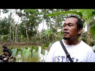 Warga Banjar Cuci Piring Dengan Air Empang - NET24