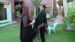Bulbulay Ep 449 - Nabeel - Ayesha Omer - Top Pakistani Dramas
