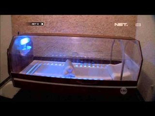 Terapi Garam Baik Untuk Pernapasan - NET12