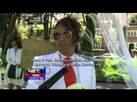 Pernikahan Seorang Aktivis Peduli Lingkungan dengan Pohon -NET12