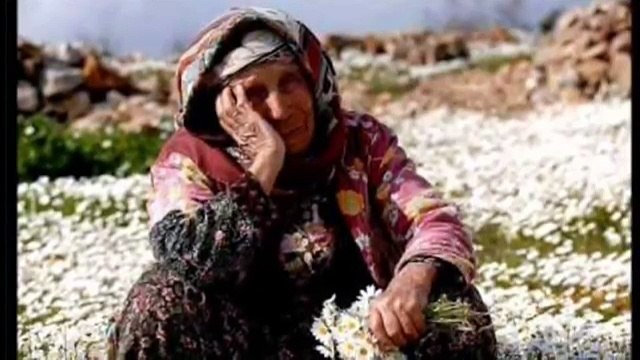 Kurtce Muzik cok damar bir uzun hava ZUKA