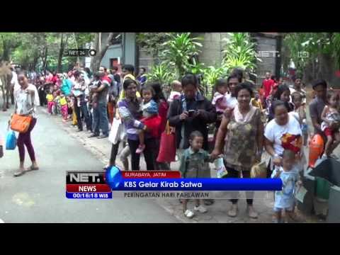 Peringati Hari Pahlawan KBS gelar Kirab Satwa - NET24