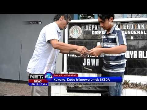 Tri Rismaharini Ingatkan Sejumlah Pihak Terkait Kasus Pertukaran Satwa KBS -NET24