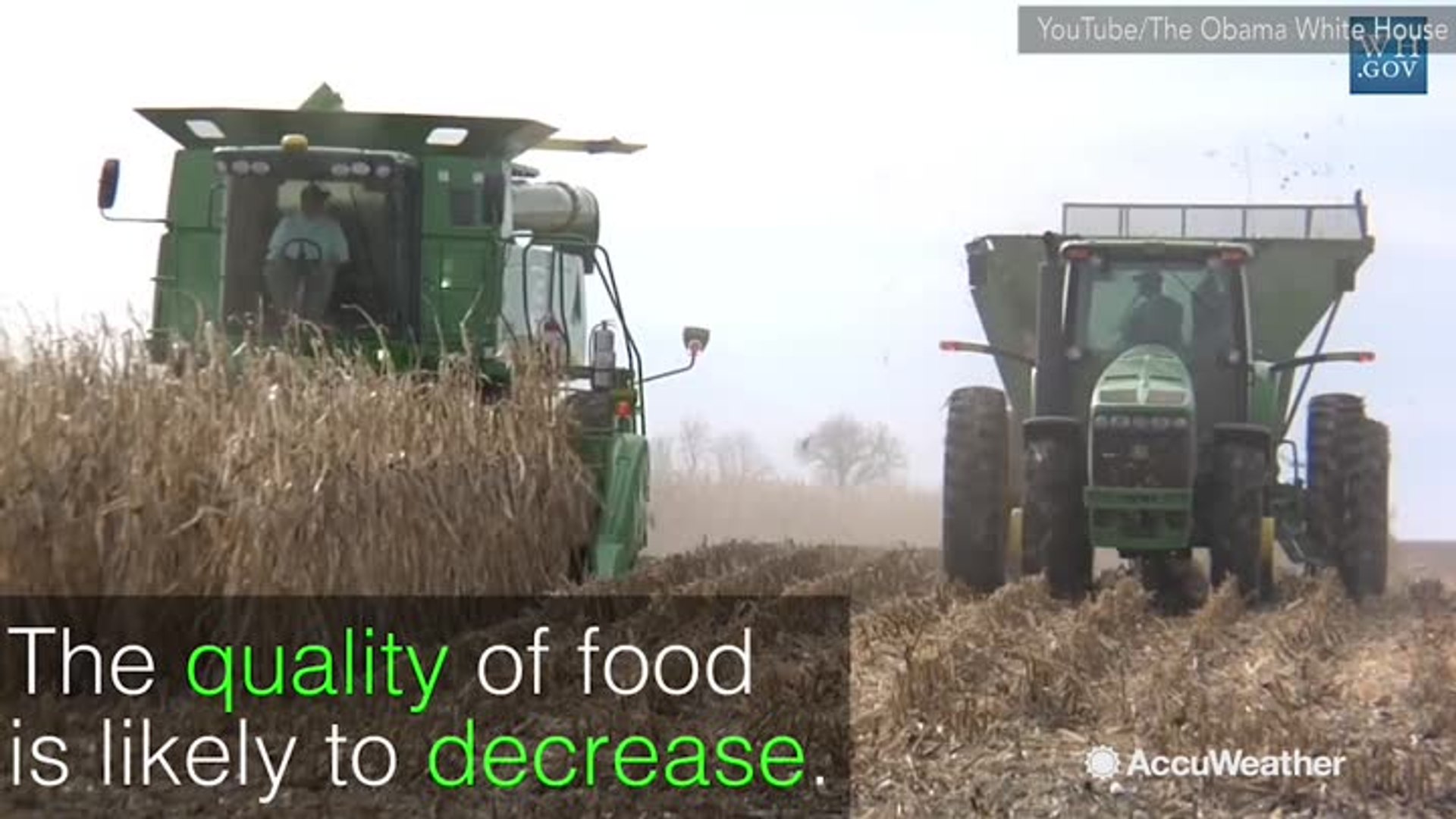 ⁣Human nutrition at risk from rising carbon dioxide levels in atmosphere