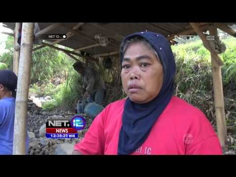 Berkah Musim Hujan untuk Pengumpul Batu di Garut -NET12