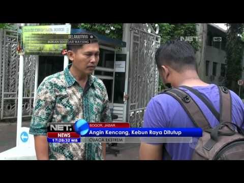 Angin kencang tumbangkan belasan pohon di Kebun Raya Bogor - NET17