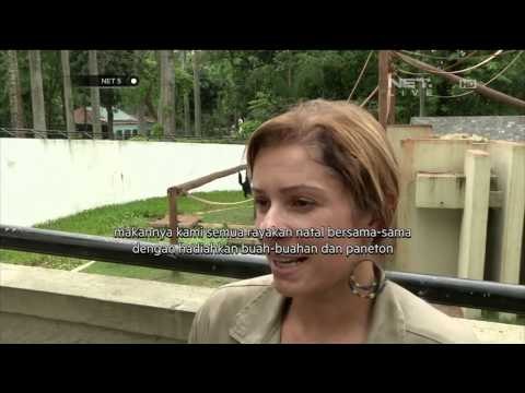 Penghuni kebun binatang dapat kado natal - NET5