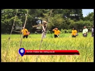Museum Tanu di Imogiri berfungsi untuk melestarikan kearifan lokal - NET12