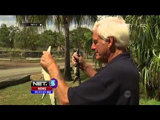 Probiotik kaya manfaat bagi manusia dan hewan - NET5