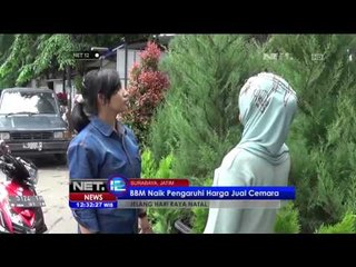 Kini Cemara Plastik Lebih Diminati Konsumen -NET12