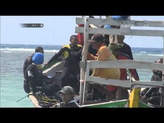 Penanaman 100 terumbu karang - NET5