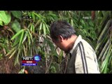 Isi Liburan Anak anak di Sukabumi Bersihkan Sungai - NET12