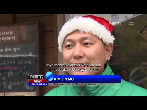 KBS di Seoul pikat pengunjung dengan aksi bayi singa dan harimau - NET24