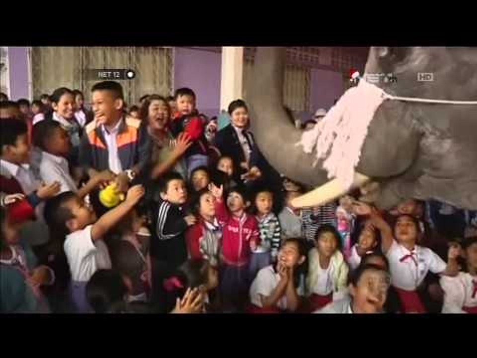 Gajah berpakaian ala Sinterklas datang ke sekolah bagian hadiah - NET12