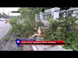 Pasca Hujan Deras dan Angin Kencang Sebabkan Kemacetan di Surabaya - NET5