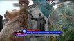Ratusan patung beruang warna warni hiasi kota Havanna Kuba - NET12