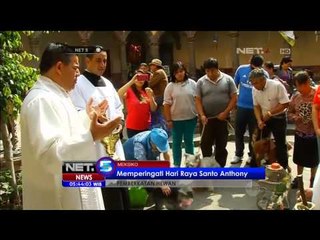 Prosesi Pemberkatan Hewan-hewan di Meksiko - NET5