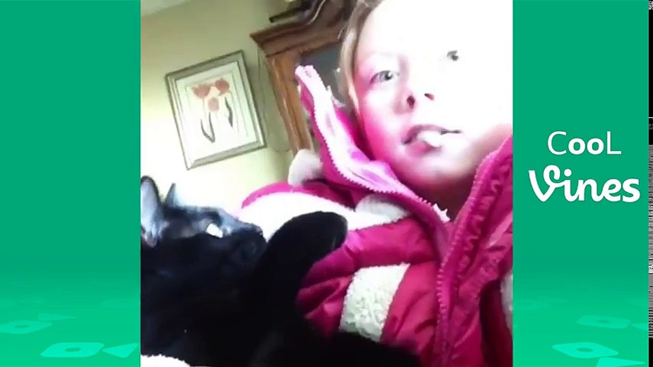 Try Not To Laugh Challenge - Funny Cat & Dog Vines compilation 2017