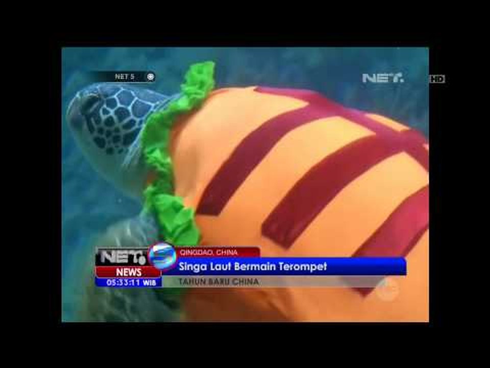 Menyambut Tahun Baru Cina, Satwa-Satwa di Cina Memakai Baju Tradisional - NET5