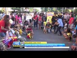 Kontes Anjing Peliharaan Pada CFD Kota Kediri - IMS