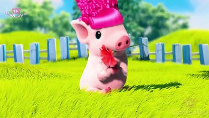 CUte Pign| Trumpetsebastian | Cartoon For Kid