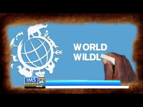 Todays History 3 Maret Hari Alam Liar Sedunia - IMS