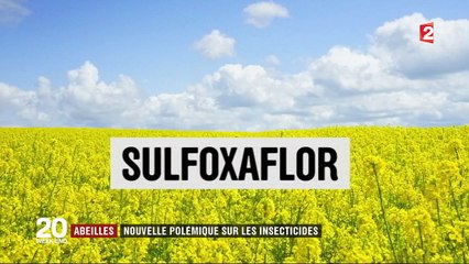 Abeilles : nouvelle polémique sur les insecticides