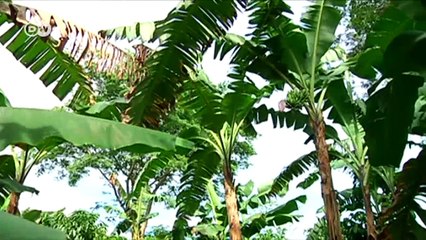 Flüchtlingszahl nicht Ugandas einzige Herausforderung | DW Deutsch