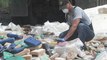 Autoridades panameñas incineran 6,2 toneladas de droga