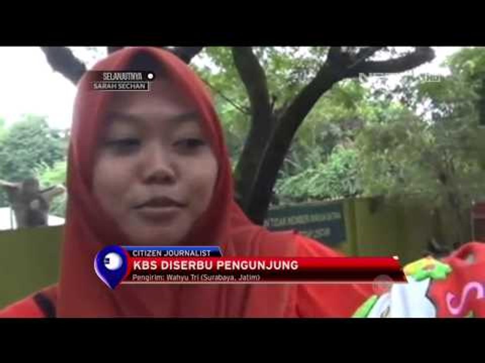 Kebun Binatang Surabaya Diserbu Pengunjung Saat Libur Imlek - NET12