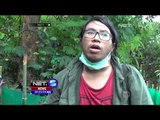Populasi Kukang Jawa Terancam Punah - NET5