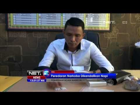 Cara Unik Pemerintah Memberantas Narkoba - NET12