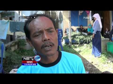 Pewarna Batik Alami - NET12