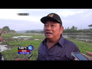 Pengamanan Sekitar Munculnya Lokasi Kemunculan Buaya Muara di Sidoarjo, Diperketat -NET12