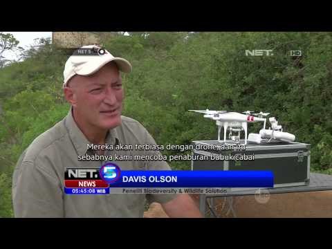 Konservasi Satwa Gajah Menggunakan Drone di Kenya - NET5