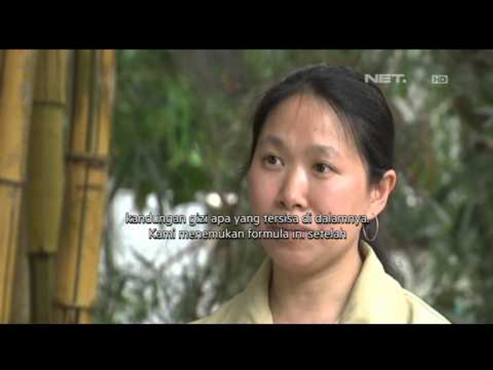 Panda Raksasa Tertua di Cina Berulang Tahun - NET24