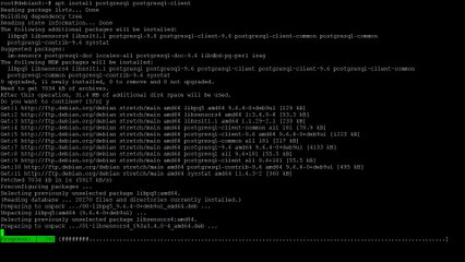 How to Install PostgreSQL on Debian 9