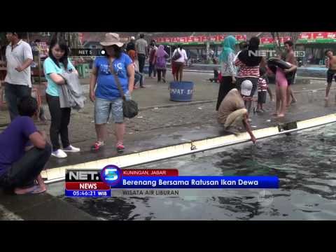 Destinasi Wisata Curug Eksotis di Lereng Gunung Ungaran - NET5