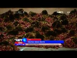 Menteri Pertanian Sidak Stok Bawang Merah ke Gudang Bulog - NET5
