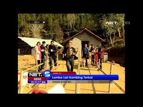 Kontes Kecantikan Kambing di Cina - NET5