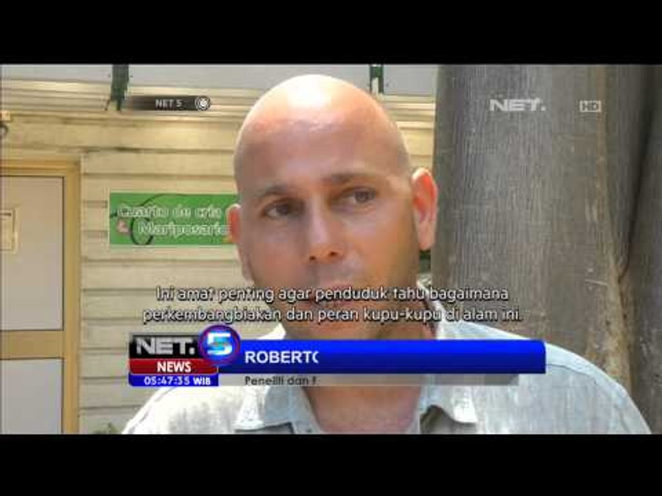 Destinasi Wisata Taman Kupu Kupu di Kuba - NET5